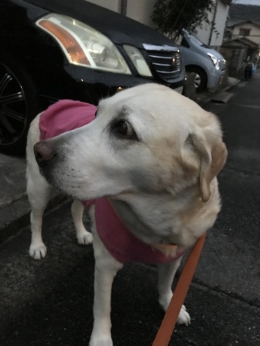 f0315081_22043325.jpeg