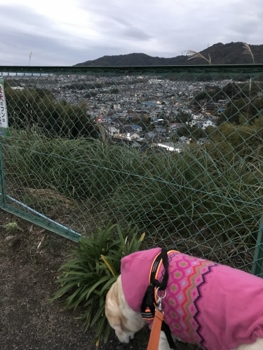 f0315081_22070706.jpeg