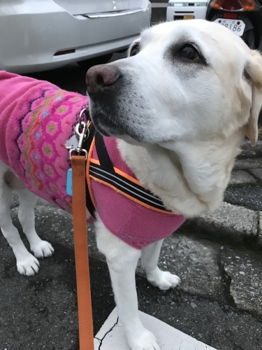 f0315081_22075238.jpeg