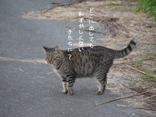 a0216583_21382385.png