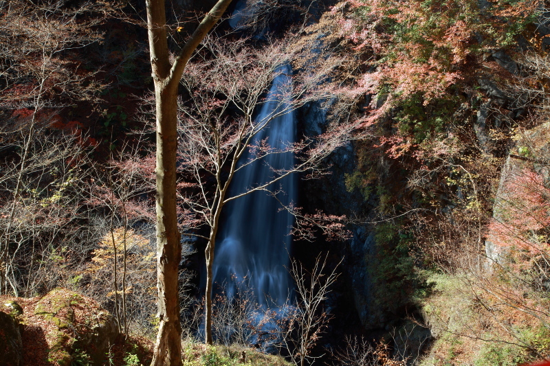 e0165983_10004605.jpg