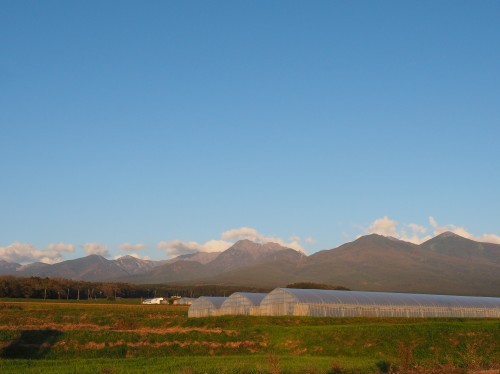 f0357183_22055340.jpg