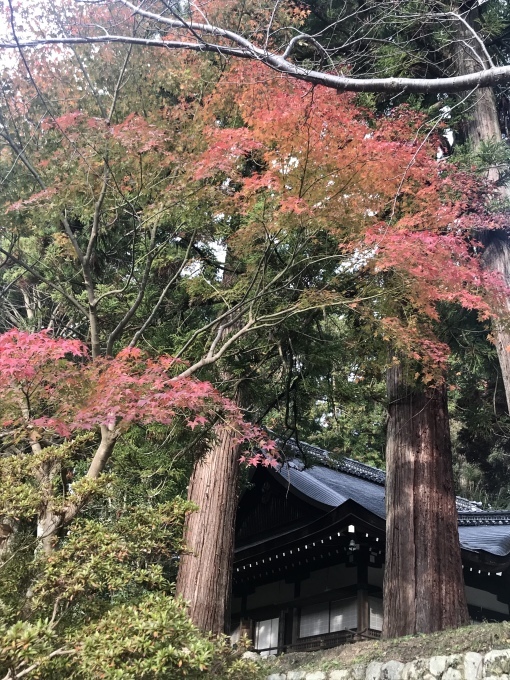 c0191985_20214290.jpeg