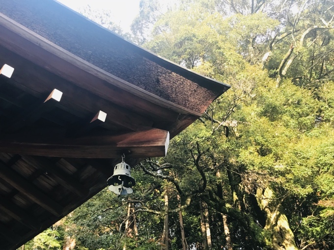 c0191985_20222437.jpeg