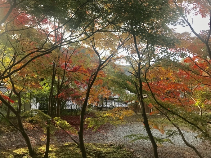 c0191985_20232542.jpeg