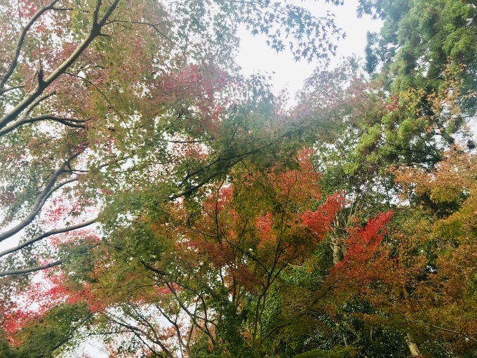 c0191985_20234253.jpeg