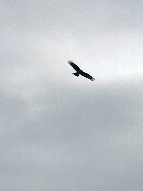 a0163788_18452122.jpg