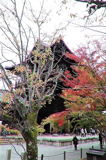 藤田八束の京都の秋と鉄道写真@京都は南禅寺の紅葉、和風喫茶洛匠の素敵な庭に感激、路面電車_d0181492_22320166.jpg