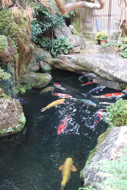 藤田八束の京都の秋と鉄道写真@京都は南禅寺の紅葉、和風喫茶洛匠の素敵な庭に感激、路面電車_d0181492_22442770.jpg