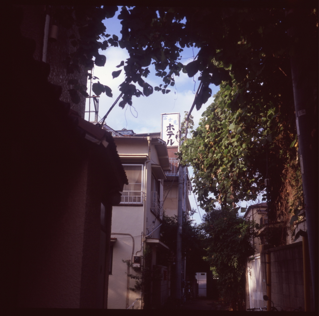 c0238497_10174608.jpg