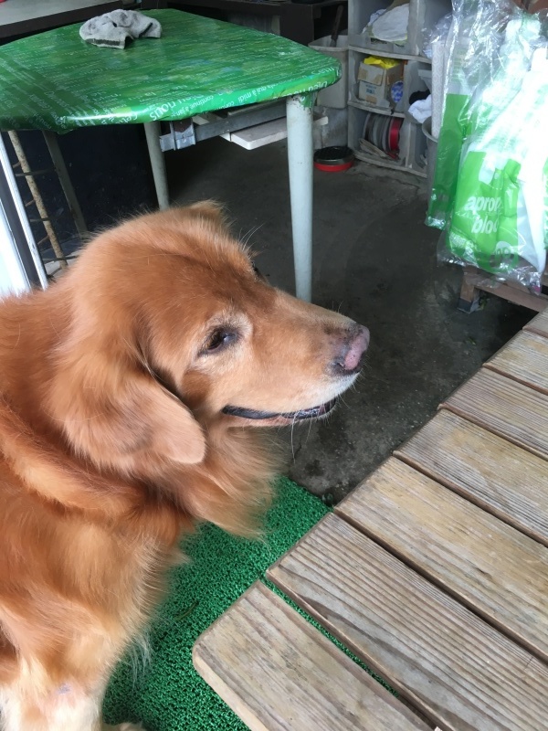 b0275998_11071583.jpeg