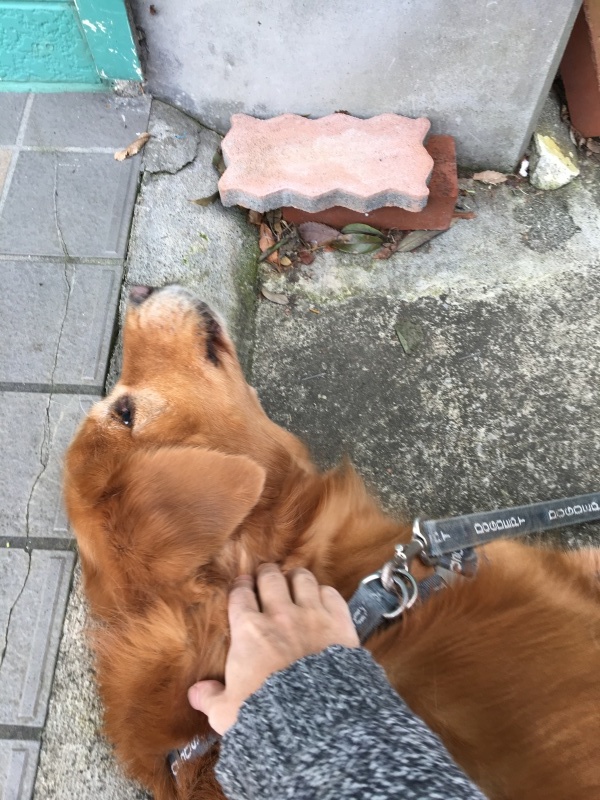 b0275998_11081432.jpeg