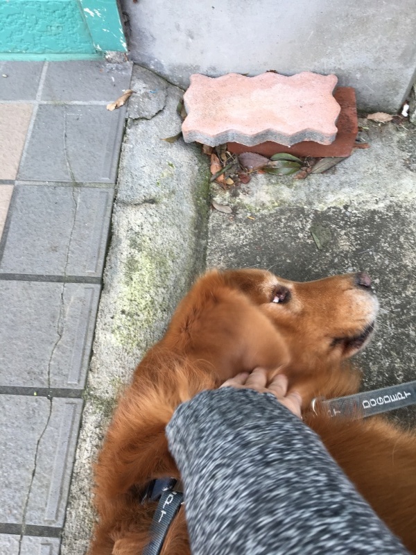 b0275998_11084367.jpeg