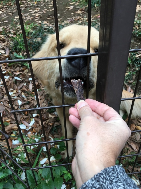 b0275998_11233869.jpeg
