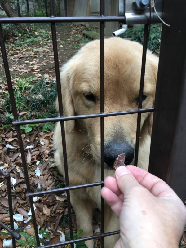 b0275998_11362426.jpeg
