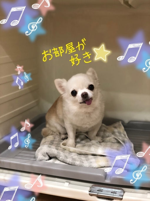 d0269898_17411347.jpeg