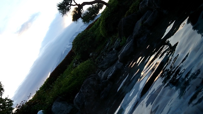 富士山を見上げながら........._b0192199_19032110.jpg