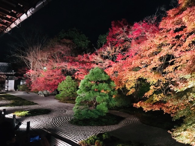 鞍馬寺、宇宙のパワースポット。永観堂紅葉を見る。_a0050302_01332519.jpg