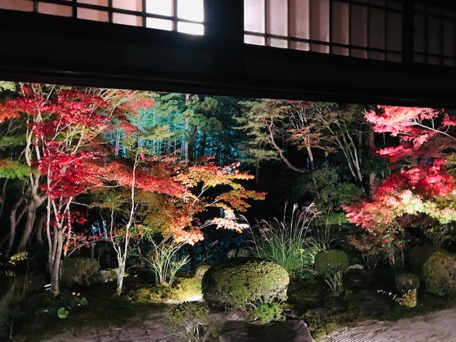 鞍馬寺、宇宙のパワースポット。永観堂紅葉を見る。_a0050302_01334623.jpg