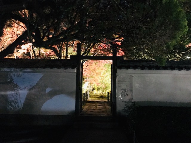鞍馬寺、宇宙のパワースポット。永観堂紅葉を見る。_a0050302_01335436.jpg