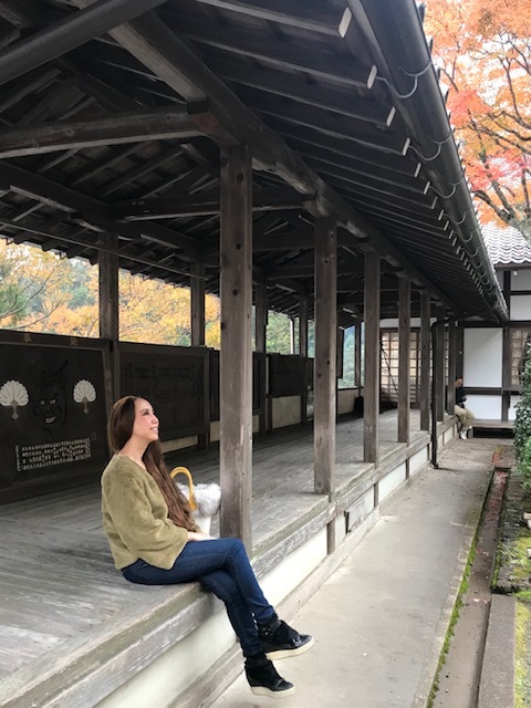 鞍馬寺、宇宙のパワースポット。永観堂紅葉を見る。_a0050302_01352754.jpg