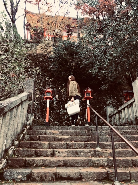 鞍馬寺、宇宙のパワースポット。永観堂紅葉を見る。_a0050302_01363165.jpg