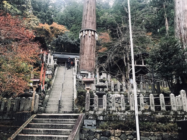 鞍馬寺、宇宙のパワースポット。永観堂紅葉を見る。_a0050302_01365068.jpg