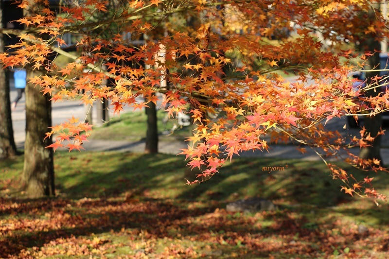 a0123003_09134161.jpg
