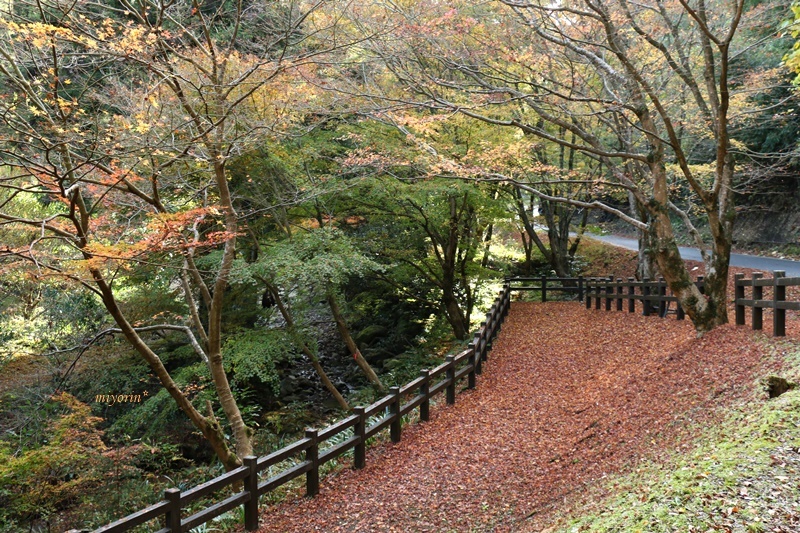 a0123003_09144108.jpg