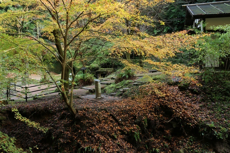 a0123003_09193354.jpg