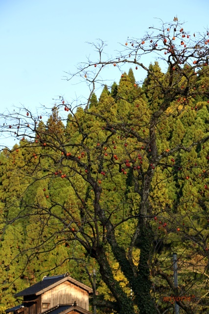 a0123003_09465128.jpg