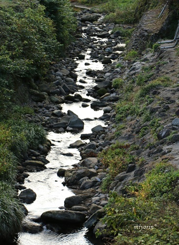 a0123003_09513601.jpg