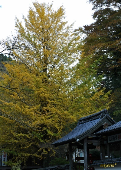 a0123003_09540946.jpg