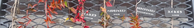 f0231709_19332222.gif
