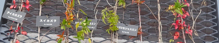 f0231709_19333143.gif