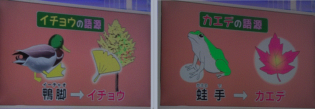 f0231709_19443917.gif