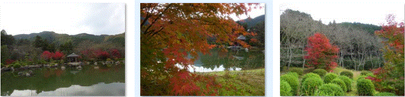 f0231709_20302815.gif