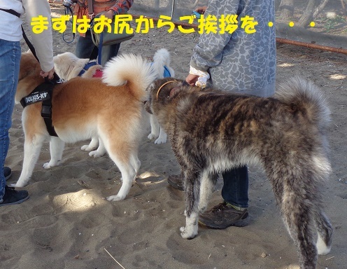 f0121712_00350687.jpg