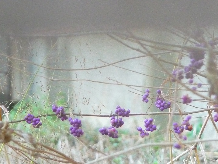 c0202113_12262753.jpg
