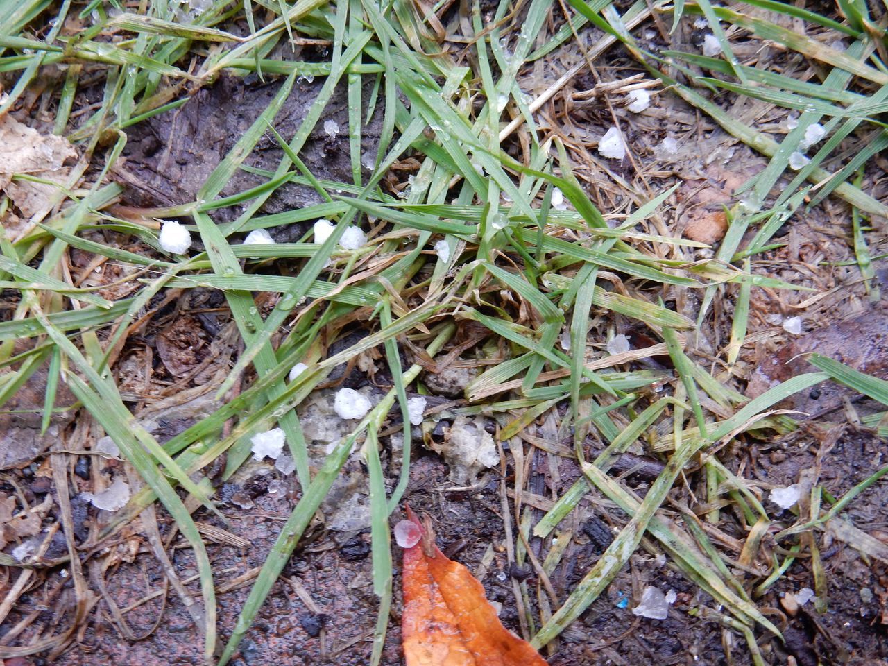 c0025115_21115508.jpg