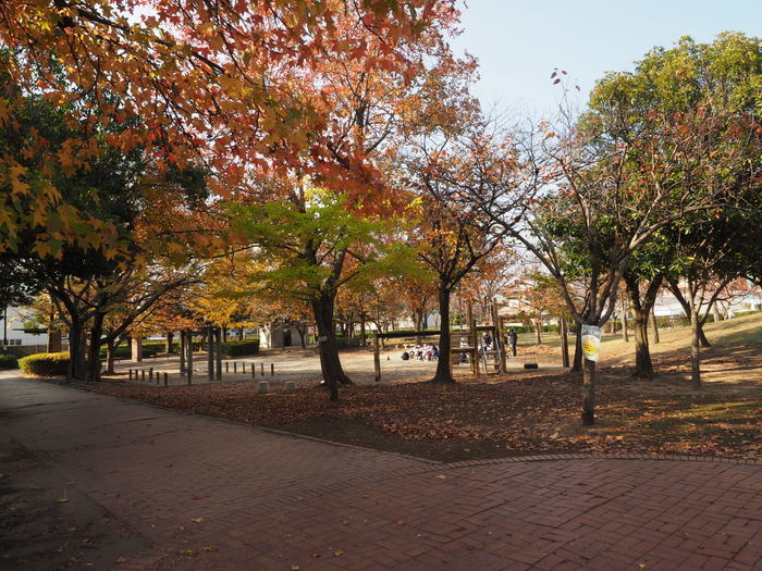 佐伯区民文化センター&五日市中央公園_c0116915_21050010.jpg