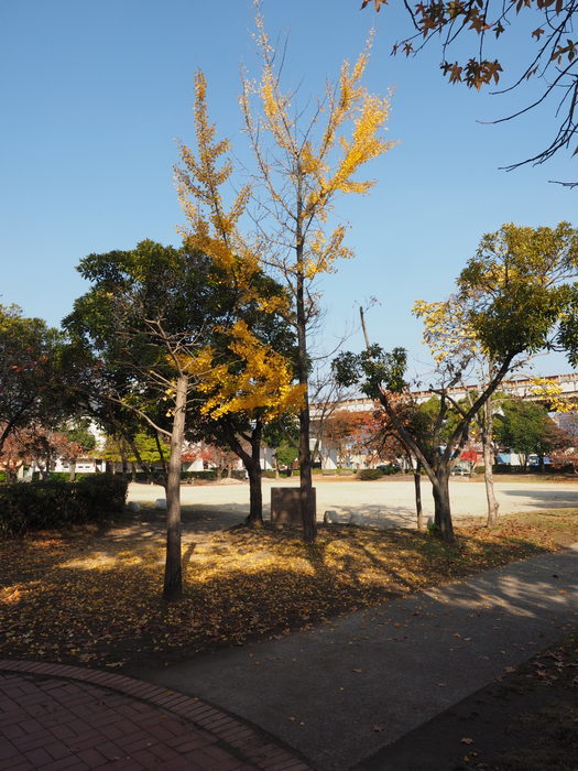 佐伯区民文化センター&五日市中央公園_c0116915_21054790.jpg