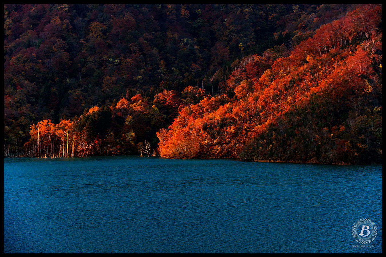 徳山湖の紅葉_c0115616_20163728.jpg