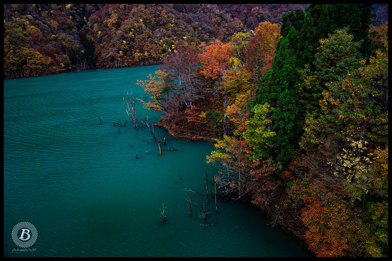 徳山湖の紅葉_c0115616_20165329.jpg