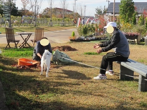 ワンコも入れる道の駅_c0084117_18110904.jpg