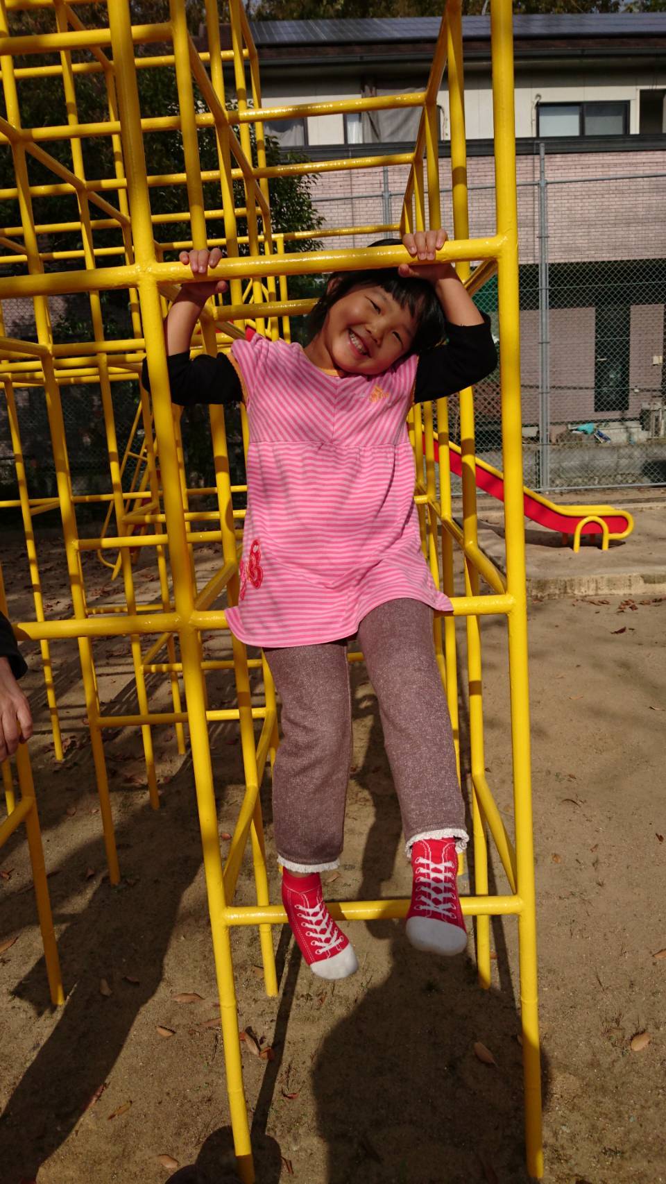 b0138522_12590040.jpeg