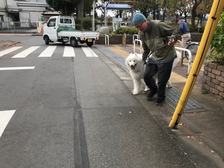f0234023_22170468.jpeg