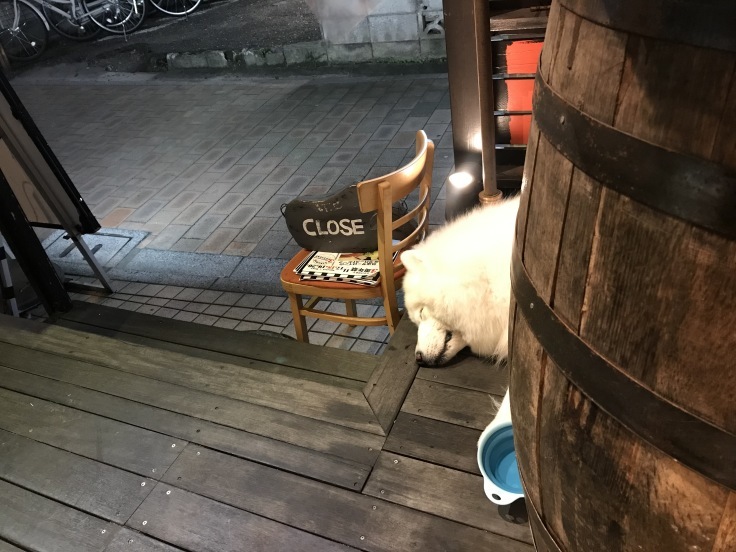 f0234023_22171881.jpeg