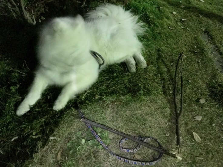 f0234023_22182065.jpeg