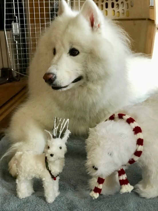 f0234023_22202305.jpeg